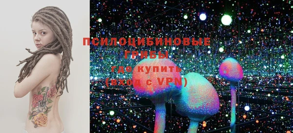ГАЛЛЮЦИНОГЕННЫЕ ГРИБЫ Алексеевка