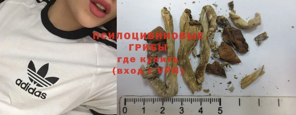 таблы Алексин