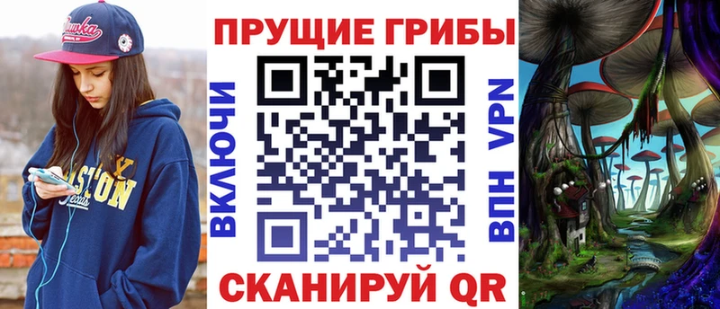 цена   Севастополь  Псилоцибиновые грибы мухоморы 